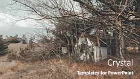  Presentation with cabin - Presentation design enhanced with tiny-old-hunter-s-getaway background and a violet colored foreground