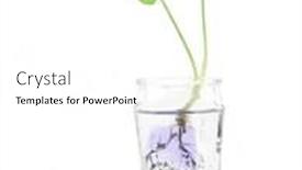  Presentation with bottle - Slide set consisting of tiny-plant-in-a-glass background and a white colored foreground