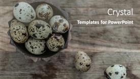  Presentation with quail - Presentation design consisting of tiny quail eggs with brown spots topview background and a gray colored foreground