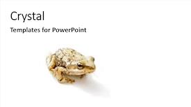  Presentation with cost - PPT layouts featuring tiny west cost american tailed background and a  colored foreground