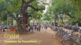  Presentation with december - 