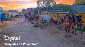  Presentation with tamil - Slide set consisting of tiruvanamalai tamil nadu in india background and a gray colored foreground