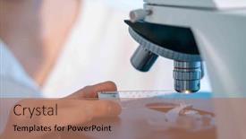  Presentation with animal tissue - PPT theme enhanced with tissue-analysis-biologists-use-microscopes and a  colored foreground