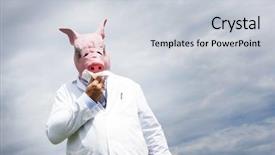  Presentation with swine flu - PPT theme with tissue for swine flu background and a lemonade colored foreground