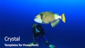  Presentation with fish - PPT layouts enhanced with titanic - scuba diver and fish titan background and a navy blue colored foreground