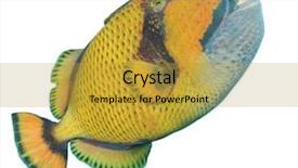  Presentation with monarch butterfly isolated on white - Cool new slide set with grand prismatic spring pool in yellowstone national park backdrop and a tawny brown colored foreground