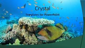  Presentation with under the sea and earth - Colorful presentation theme enhanced with titanic - titan triggerfish under a table backdrop and a cyan colored foreground