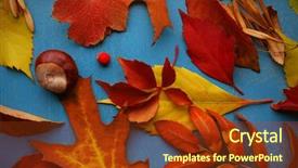  Presentation with title - PPT layouts having title cover design - colourful and bright fallen autumn background and a tawny brown colored foreground
