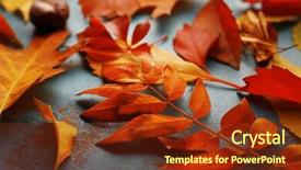  Presentation with title - Colorful presentation theme enhanced with title cover design - colourful and bright fallen autumn backdrop and a tawny brown colored foreground