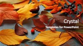  Presentation with autumn blue - PPT theme consisting of title cover design - colourful and bright fallen autumn background and a tawny brown colored foreground