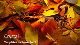  Presentation with title - Slide set featuring title cover design - colourful and bright fallen autumn background and a tawny brown colored foreground