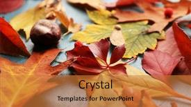  Presentation with title - Theme having title cover design - colourful and bright fallen autumn background and a gold colored foreground
