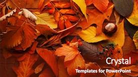  Presentation with title - Audience pleasing PPT theme consisting of title cover design - colourful and bright fallen autumn backdrop and a tawny brown colored foreground