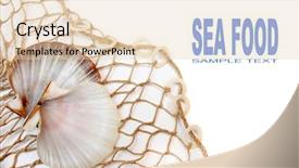  Presentation with high net worth - Presentation design consisting of title cover design - fishing net with shell background and a lemonade colored foreground