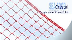  Presentation with fishing net - Presentation with title cover design - fishing net with space background and a sky blue colored foreground