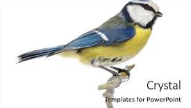  Presentation with blue - Beautiful slides featuring tits - side view of a blue backdrop and a white colored foreground