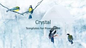  Presentation with birds - Colorful PPT layouts enhanced with tits - tit and woodpecker birds backdrop and a sky blue colored foreground