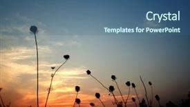  Presentation with tmj - Presentation design consisting of tmj - sun set time background and a ocean colored foreground