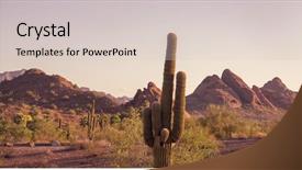  Presentation with phoenix - Slides featuring to camelback mountain phoenix background and a lemonade colored foreground