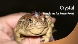  Presentation with evil - Colorful PPT layouts enhanced with hand one evening showing off backdrop and a black colored foreground