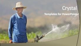  Presentation with asian culture - Presentation theme having tobacco field watering culture background and a gray colored foreground