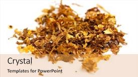  Presentation with tobacco - PPT layouts consisting of tobacco background and a yellow colored foreground