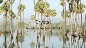  Presentation with thailand - Presentation theme with toddy palm - field of flooded sugarpalm trees background and a  colored foreground