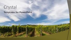  Presentation with unesco - Slide deck consisting of tokaj-landscape-with-vineyard-unesco background and a lemonade colored foreground