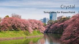  Presentation with tokyo - Amazing presentation design having tokyo-japan-at-chidorigafuchi-imperial backdrop and a light blue colored foreground
