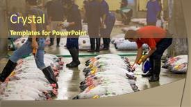  Presentation with fish tuna - 