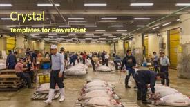  Presentation with tuna fish - 