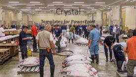  Presentation with tuna fish - Cool new PPT theme with tokyo-japan-august-1-2015 backdrop and a coral colored foreground