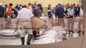  Presentation with fish tuna - Colorful PPT layouts enhanced with tokyo-japan-august-1-2015 backdrop and a coral colored foreground