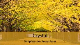  Presentation with tokyo - Audience pleasing slide deck consisting of tokyo japan autumn park backdrop and a gold colored foreground