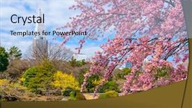  Presentation with tokyo - PPT theme consisting of tokyo japan spring in shinjuku background and a light blue colored foreground
