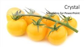  Presentation with kao tom mud - Amazing slide deck having tom tomatoes on the vine backdrop and a white colored foreground