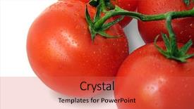  Presentation with work design - Presentation with tomato and drops of water with clipping path a juicy vine ripened tomato is ready for your design the file includes a clipping path so it is easy to work background and a red colored foreground
