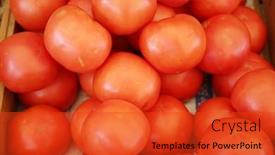  Presentation with tomato plant - Slide set with tomato-fresh-picked-tomatoes background and a red colored foreground