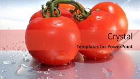  Presentation with vine - Beautiful PPT theme featuring text fresh beef stake backdrop and a red colored foreground