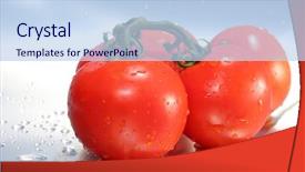  Presentation with vine - PPT theme having text fresh beef stake background and a light blue colored foreground