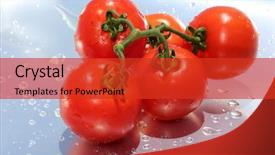  Presentation with vine - Theme featuring text fresh beef stake background and a red colored foreground