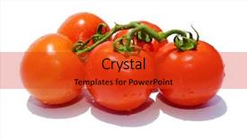  Presentation with vine - PPT layouts consisting of text fresh beef stake background and a red colored foreground