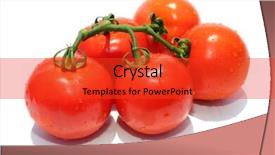  Presentation with vine - Cool new slides with text fresh beef stake backdrop and a red colored foreground