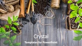  Presentation with garden tools - Slides consisting of tomato ground pot on old background and a gray colored foreground