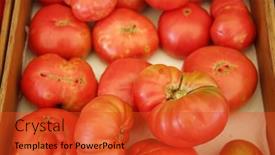  Presentation with food market - PPT theme with tomato-heirloom-tomatoes-large-home background and a red colored foreground