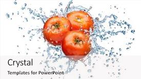 Presentation with spring of water - Audience pleasing slide set consisting of tomato in spray of water backdrop and a lemonade colored foreground