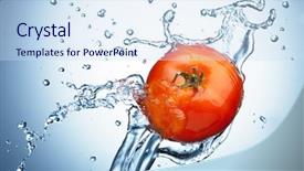  Presentation with spray - Audience pleasing PPT layouts consisting of tomato in spray of water backdrop and a sky blue colored foreground