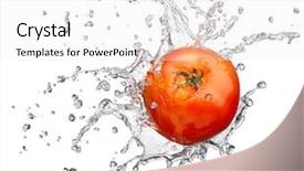  Presentation with water splash - Colorful slide set enhanced with tomato in spray of water backdrop and a white colored foreground