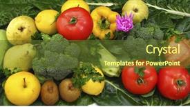  Presentation with farming food waste - Theme consisting of tomato leaf miner - good food background and a  colored foreground