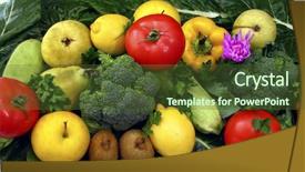  Presentation with miner - PPT theme featuring tomato leaf miner - good food background and a  colored foreground